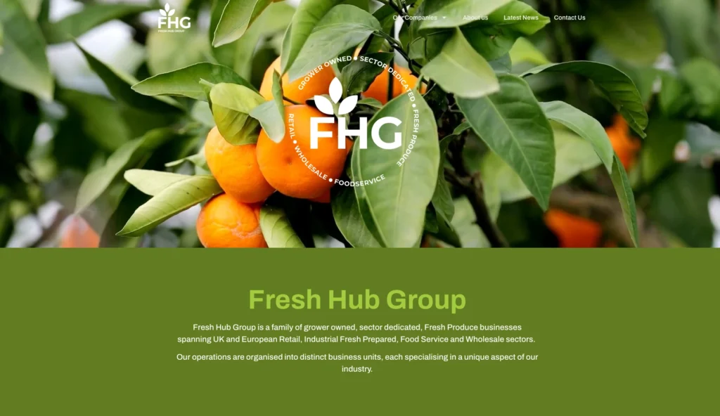 Fresh Hub Group - Multi Website project