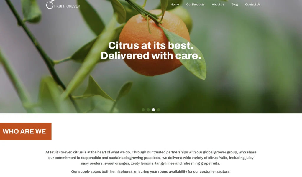 Fresh Hub group - Website Development